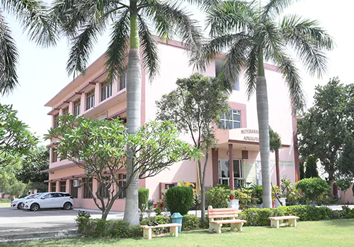 Campus Building